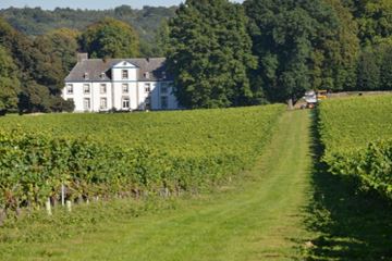 Wijnproeverij in een kasteel Wijnproeverij in een kasteel cadeau