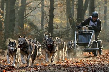 Herfst Bucketlist cadeau Herfst Bucketlist cadeau