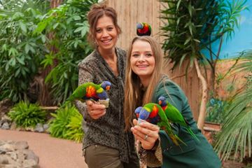 Cadeau Dierenliefhebber Pantropica Cadeau Dierenliefhebber Pantropica
